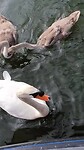 Met de hele familie uit eten!