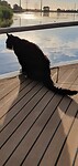 Meditatie
