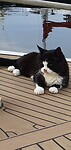 Relaxen