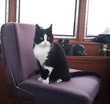 Onze kleine kapitein
