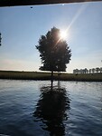 Mooi licht