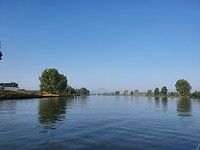 Afgedamde Maas