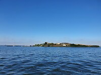 Pampus