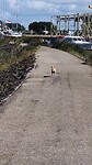 IK HEB EEN GOEIE NEUS, BAAS  🐕🐕