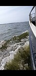 Schommelig en Schuimig