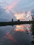 Ook nog rosé erbij