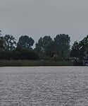 De DRIE REUZEN voor ons huis