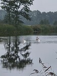 Familie ZWAAN