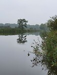 Stille ochtend