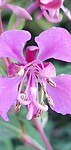 Screenshot_20220917-205828_Gallery