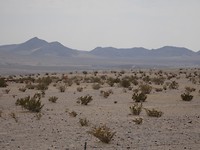 DSC00565