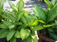 20190721_102243