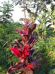 20190722_161603