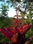 20190722_161614
