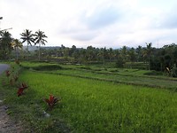 20190722_161743