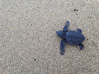 20190725_064302