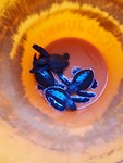 20190725_061542