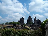 20190729_103126