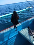 IMG-20190804-WA0012