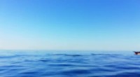 VID-20190805-WA0004