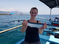 IMG-20190812-WA0001