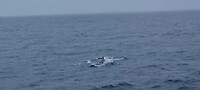 VID-20240622-WA0015
