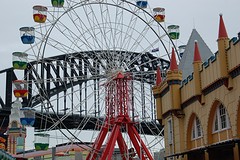 DSC_2401