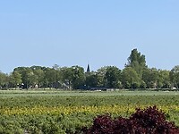 IMG_8210