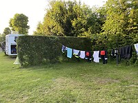 IMG_8248