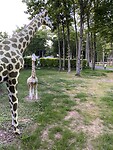 IMG_8347