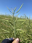 IMG_8360