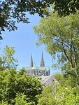 IMG_8364