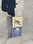 IMG_8365