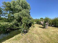 IMG_8358