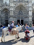 IMG_8431