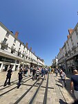 IMG_8453
