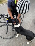 IMG_8486