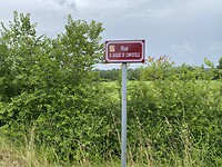 IMG_8491