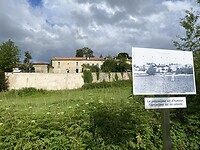 IMG_8497