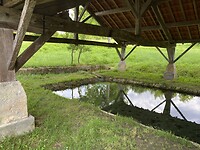 IMG_8498