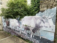IMG_8514