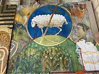 IMG_8528