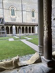 IMG_8538
