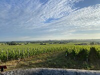 IMG_8544