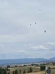IMG_8690