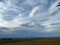 0D09368F-8667-4A3B-BCA4-3A0E5CB7873B