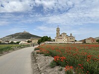 IMG_8763