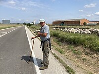 IMG_8771