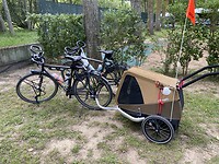 IMG_8782