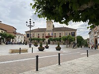 IMG_8796